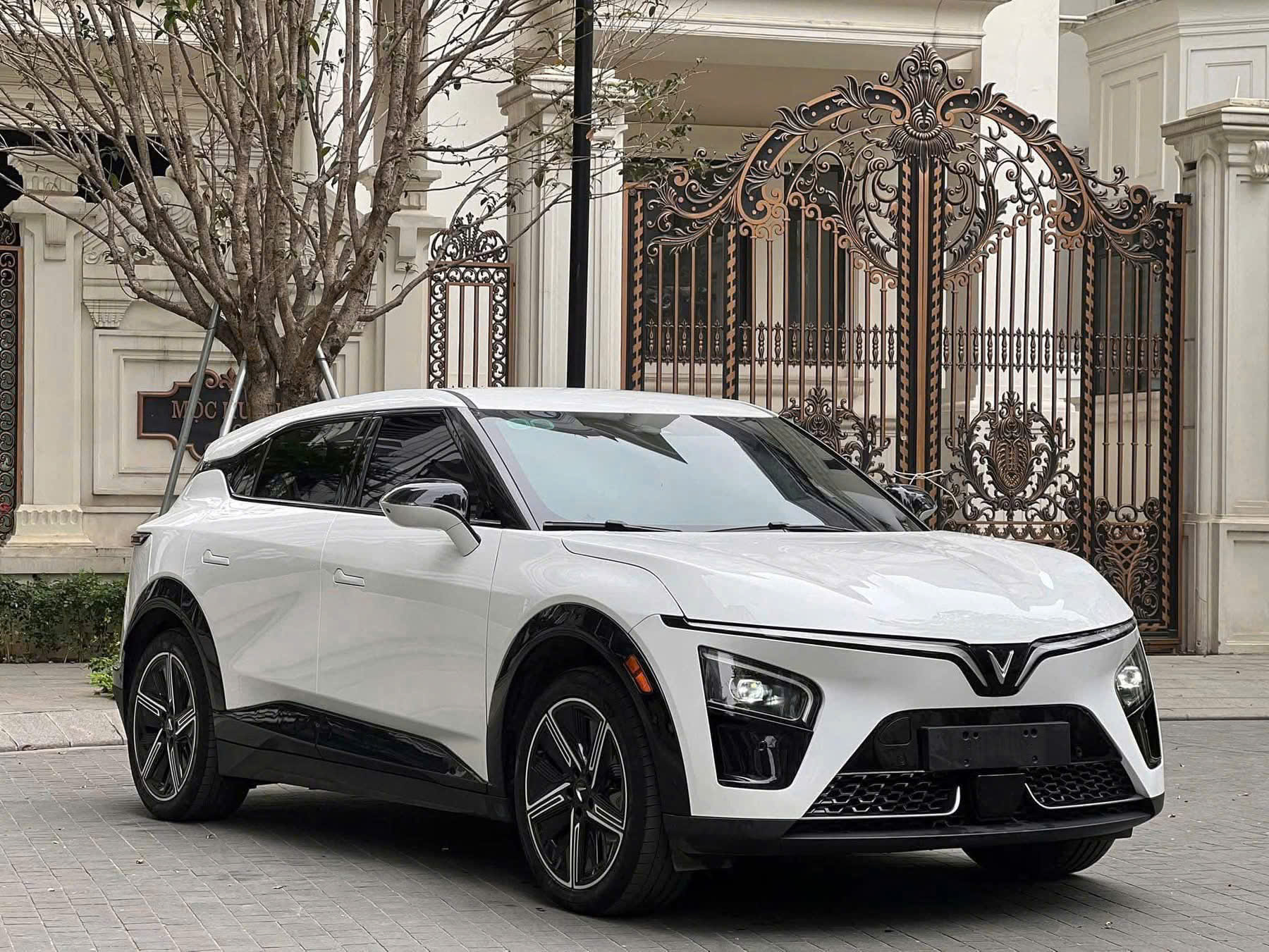 Giá lăn bánh vf7 2026